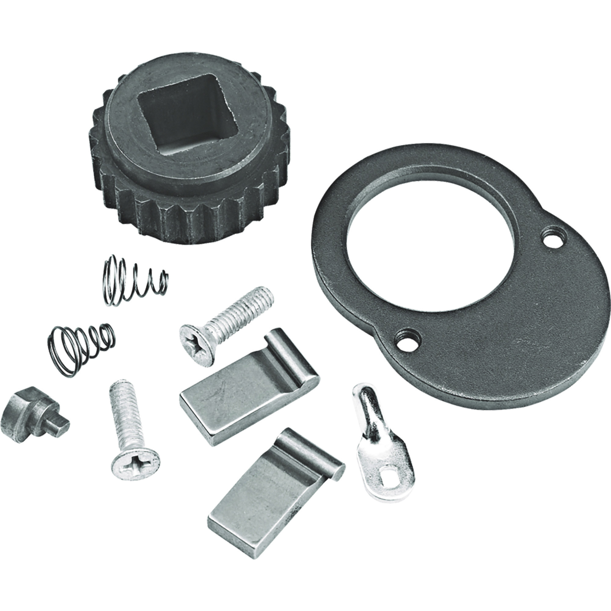 Proto 1/4in. Drive Ratchet Handle Repair Kit, 10-Pieces, Model# J4749RK